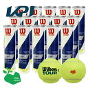 【SDGsプロジェクト】「KPIオリジナルモデル」Wilson ウイルソン TOUR STANDARD ツアー・スタンダード 1箱(15缶) WRT103800...