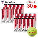 『即日出荷』【2箱セット】テクニファイバー Tecnifibre テニスボール X-ONE(エックスワン)4個入 1箱(15缶/60球)TBA4XE1 ITF...