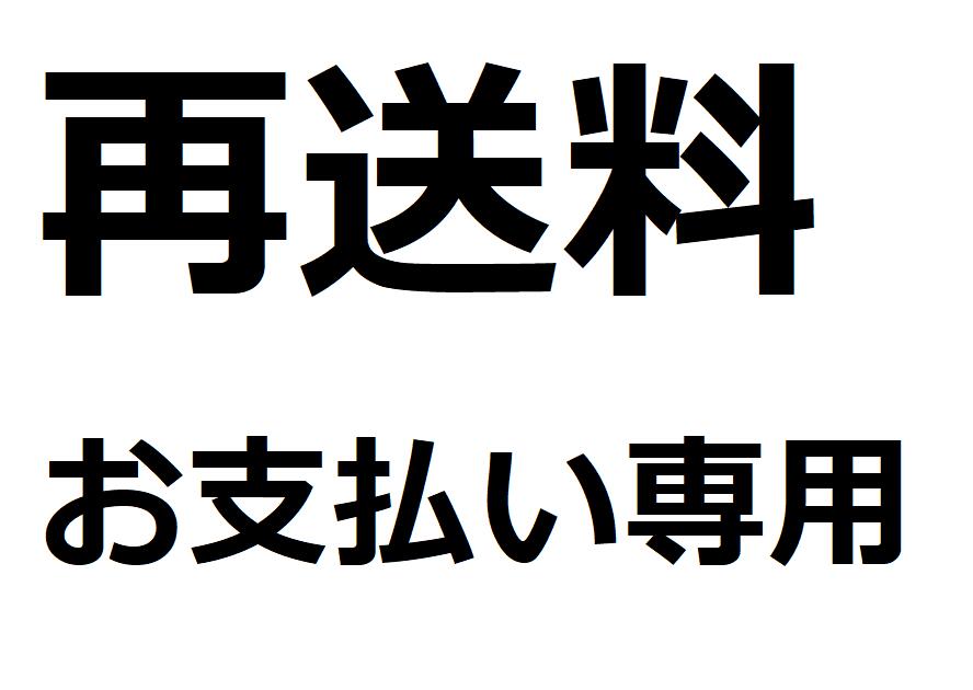 再送料 ：384007-20250510-3245287219_1029