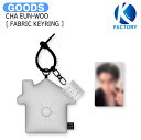 送料無料 CHA EUN-WOO FABRIC KEYRING 1ST MINI ALBUM ENTITY OFFICIAL MD / キーリング / ASTRO チャウヌ アストロ グッズ KPOP / 公式グッズ / 予約商品