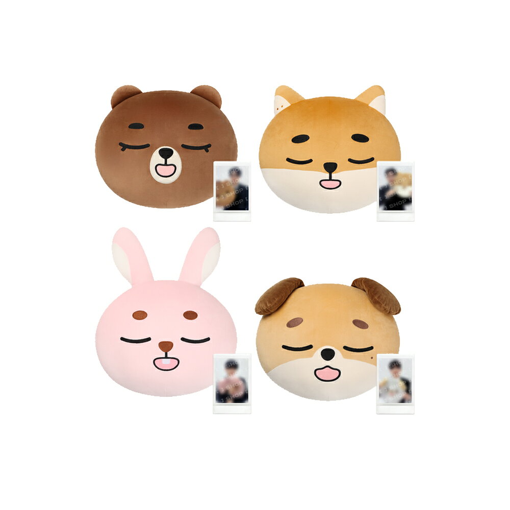 DAY6 - DENIMALZ FACE CUSHION / The DECADE FINALE MD / ぬいぐるみ
