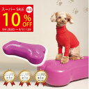 \スーパーSALE★10%OFF&P3倍!クーポン配布中/【ランキング1位!】犬用バランスボール アプリアバランスボーン【動物理学療法士開発】動物理学リハビリ国際協会認定 犬用 バランスボール 筋トレ 筋肉 足腰 老犬 シニア犬 高齢犬 健康維持 アジリティ