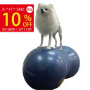 \スーパーSALE★10%OFF&P3倍!クーポン配布中/犬用バランスボール アプリアピーナッツボールプラス 【動物理学療法士開発】動物理学リハビリ国際協会認定 わんちゃんの為の筋トレグッズ 筋トレ 筋肉 足腰 老犬 シニア犬 高齢犬