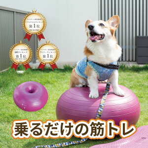 【ランキング1位】犬用バランスボール アプリアドーナッツボールプラス 【動物理学療法士開発】動物理学リハビリ国際協会認定 わんちゃんの為の筋トレグッズ 筋トレ 筋肉 足腰 老犬 シニア犬 高齢犬 健康維持