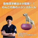 【ランキング1位！】犬用バランスボール　アプリアドーナッツボールプラス　【動物理学療法士開発】動物理学リハビリ国際協会認定　わんちゃんの為の筋トレグッズ　　筋トレ　筋肉　足腰　老犬　シニア犬 　高齢犬　健康維持 パテラ 膝蓋骨脱臼 2