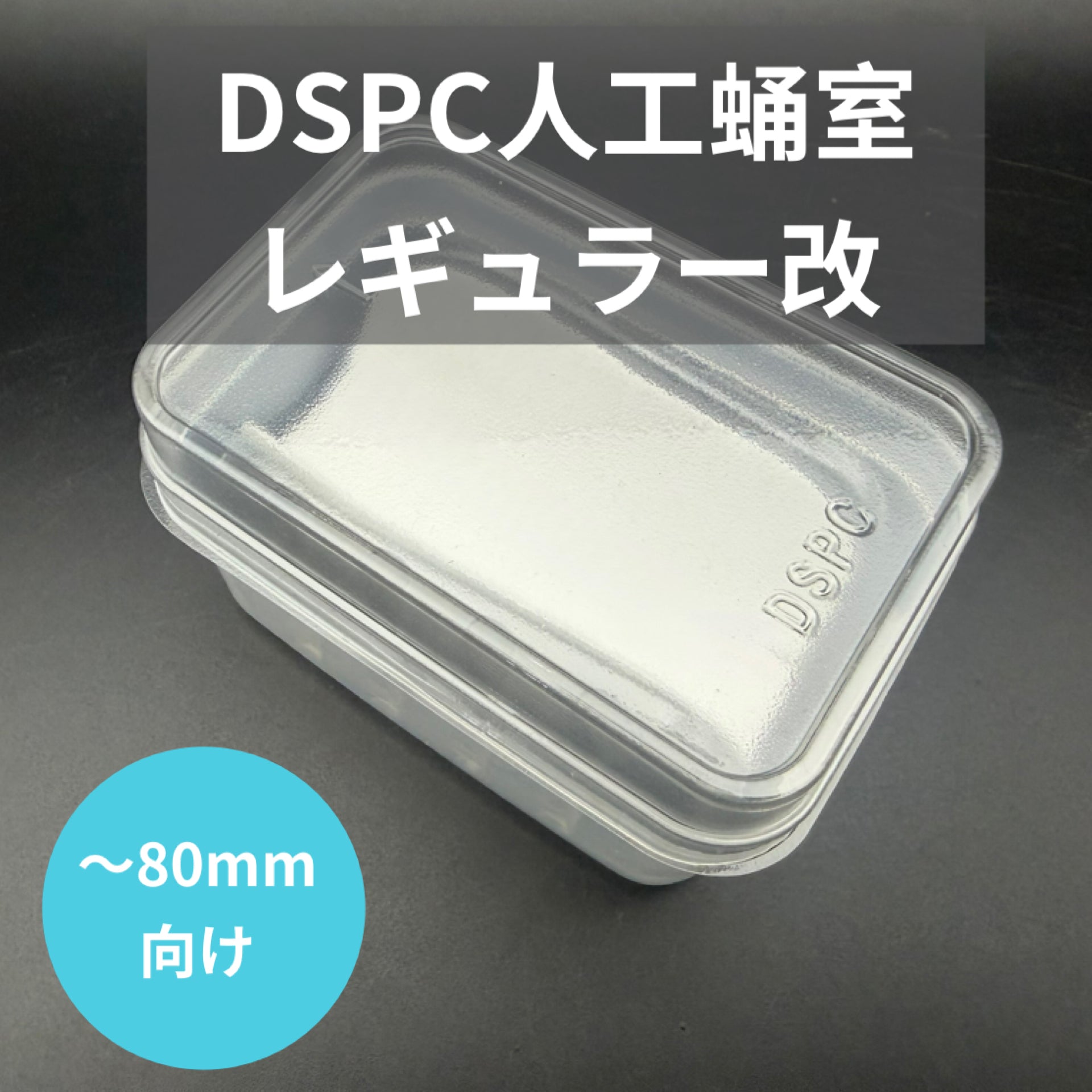 【送料無料】 【ケース付】人工蛹室 DSPC（透明PETタイプ）レギュラー 改 昆虫 飼育 おすすめ クワガタ カブトムシ KPW