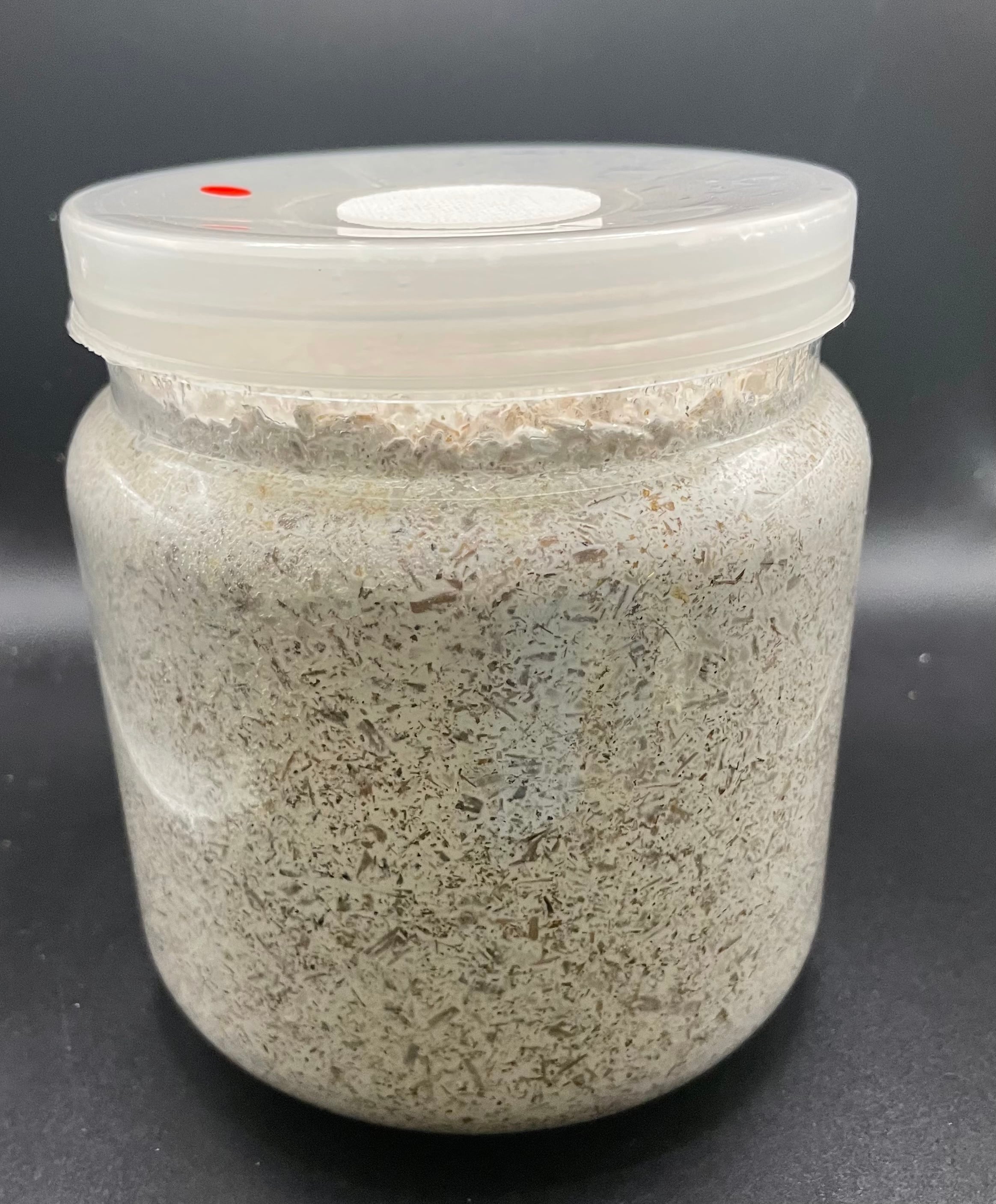 菌丝瓶 - 【送料無料】 G-ZERO 菌糸ボトル 1500cc 昆虫 飼育 おすすめ クワガタ カブトムシ KPW