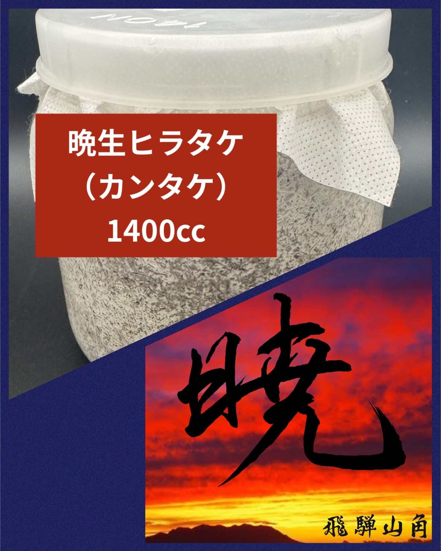 菌丝瓶 - 【送料無料】 【暁】高添加カンタケ（晩生ヒラタケ）1400cc 昆虫 飼育 おすすめ クワガタ カブトムシ KPW