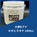 【送料無料】大夢Bブナ オオヒラタケ 1400cc 菌糸 オオヒラタケ 幼虫飼育に! 大型実績多数!