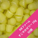 【送料無料】【50個入り】すこやかゼリー 16g 昆虫ゼリー KBファーム 休眠明けに最適! ブリーダー愛用!