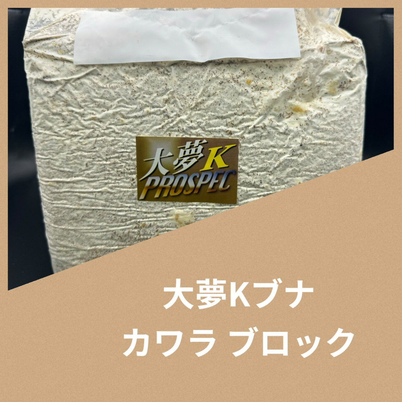 ̵̴K֥  ֥å 4200cc ݻ ˡ 緿м¿