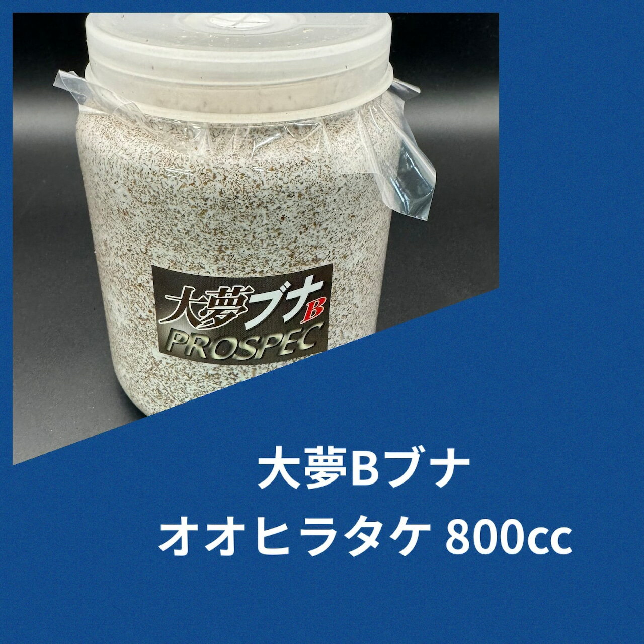 ̵̴B֥ ҥ饿 800cc ݻ ҥ饿 ˡ 緿¿