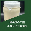 【送料無料】ルカディア ボトル 800cc 菌糸 カワラタケ タランドゥスといえばこれ! 幼虫飼育に! 大型作出実績多数!
