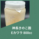 【送料無料】Eカワラ ボトル 800cc 菌糸 カワラタケ ウッディやローゼンにも! 幼虫飼育に! KPW クワガタ カブトムシ