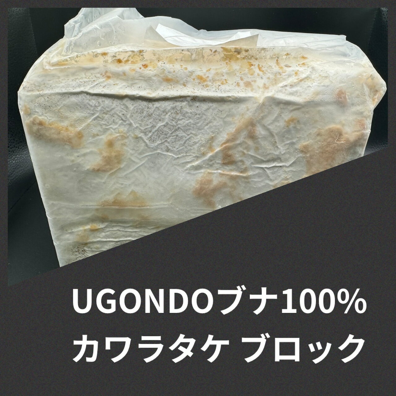 樂天商城 - 【送料無料】UGONDO ブナ100% ブロック3500cc　カワラタケ菌糸 ウエストウッディの定番！ KPW クワガタ カブトムシ