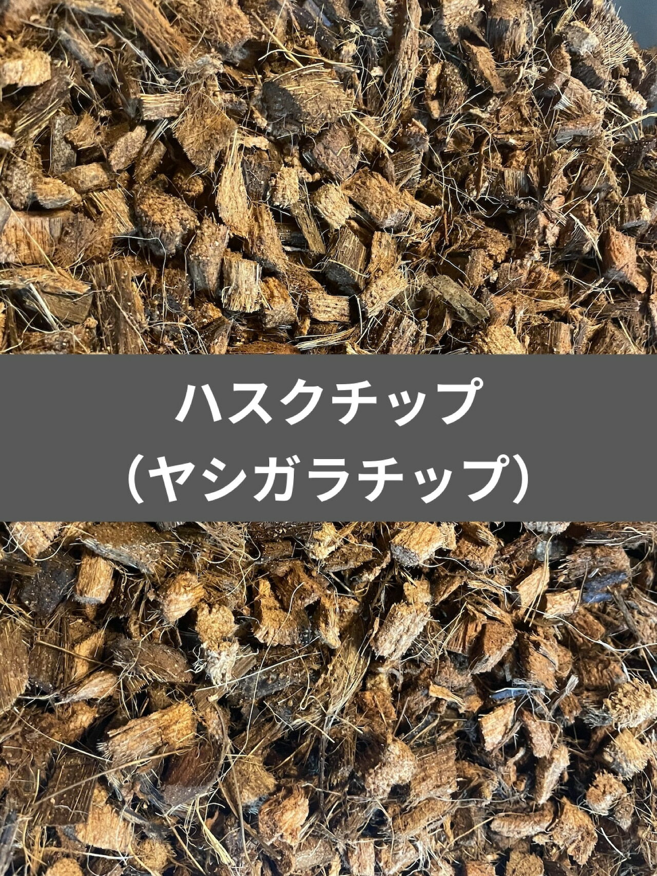 ̵ۡ ϥå 10L 䥷å ý̡ ŷǺࡪ KPW 塞 ֥ȥॷ   ५  ...