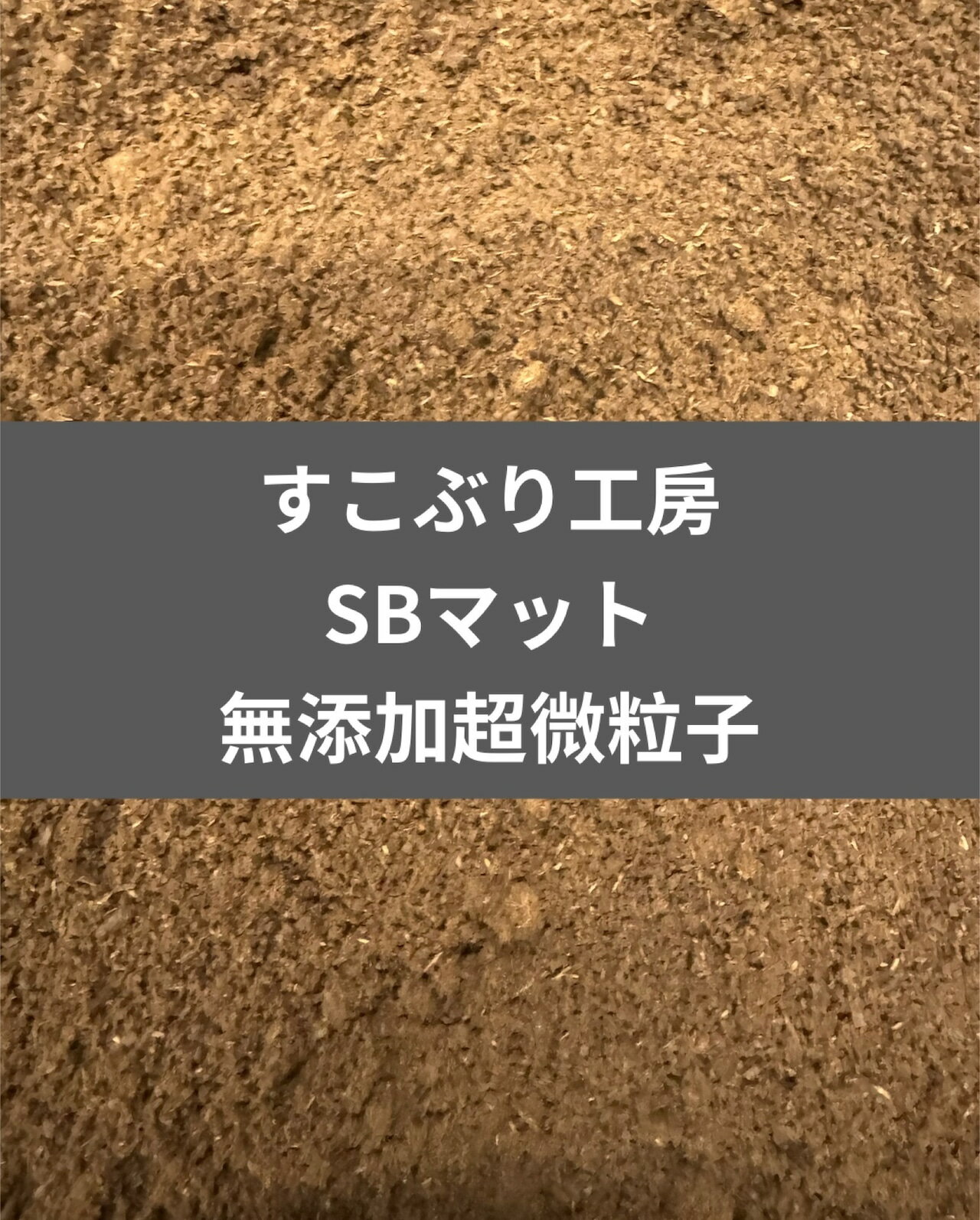 ̵ SBޥå ̵źĶγһ 10L ֤깩˼ 񥻥åȤˡ KPW 塞 ֥ȥॷ