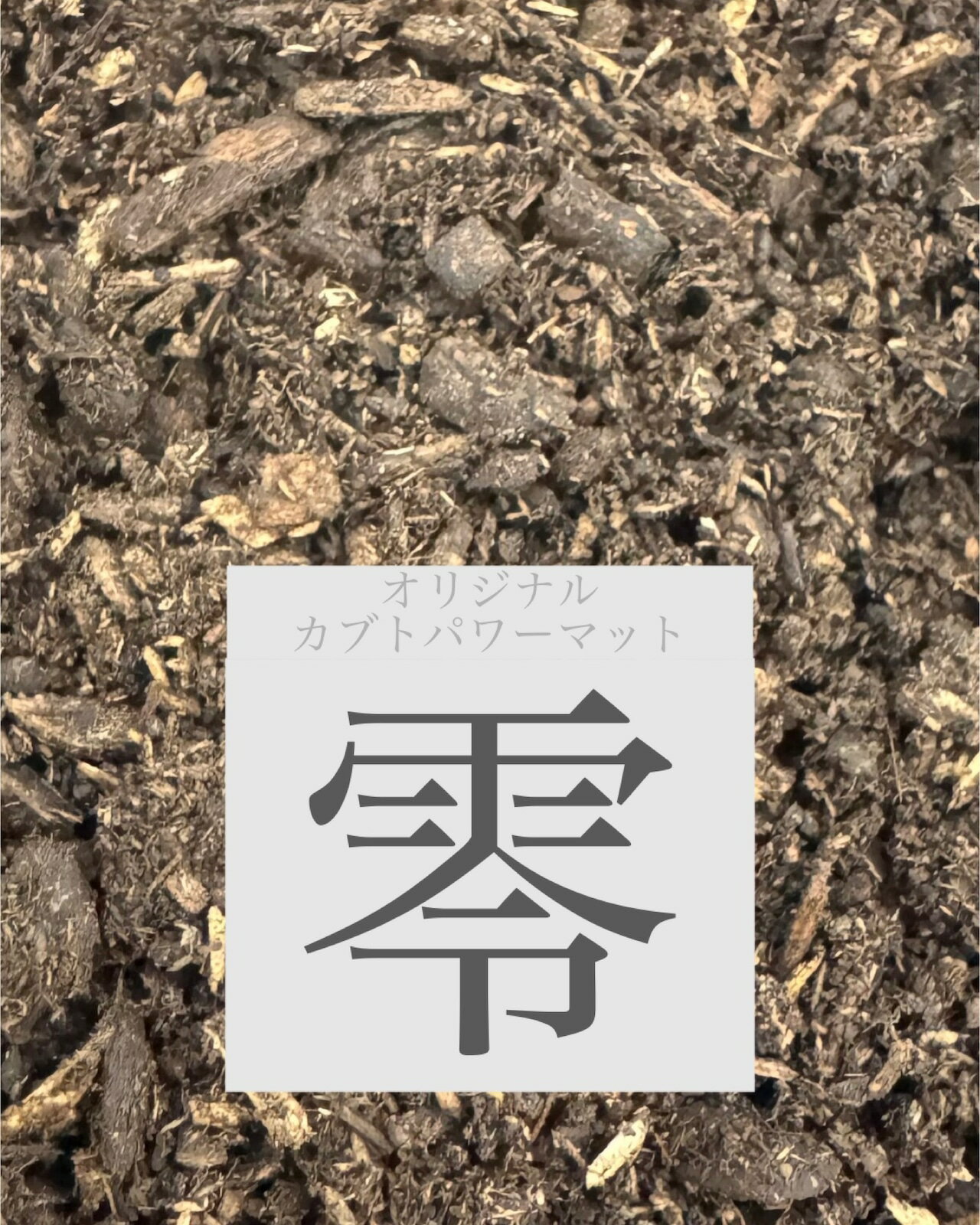 ̵ ֥ȥѥޥå  10L ̵źá 񥻥åȤο֡ KPW 塞 ֥ȥॷ