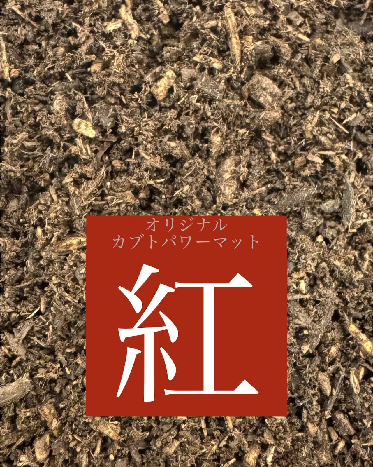 ̵ۥ֥ȥѥޥå  10L إ饯쥹  ȥ饹 ֥ ֥ 緿ˡ KPW 塞 ...