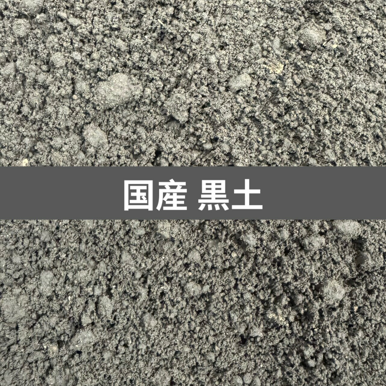 ̵   5L ҥߥޤĥ䥯塞ˡ ݤˤ⡪ KPW 塞 ֥ȥॷ