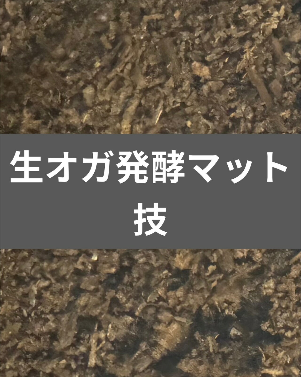 ̵ȯڥޥå  10L KPW 塞 ֥ȥॷ