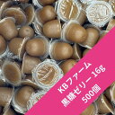 【送料無料】【500個入り】黒糖ゼリー 16g 昆虫ゼリー KBファーム 野生の個体やネブトにおすすめ!