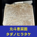 【送料無料】タダノヒラタケ ブロック 3500cc(コマメ・中粒子半々 配合ブロック)