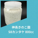 【送料無料】 S8カンタケ 800cc カワラタケ オオクワといえばこれ! 幼虫飼育に! 大型作出実績多数!