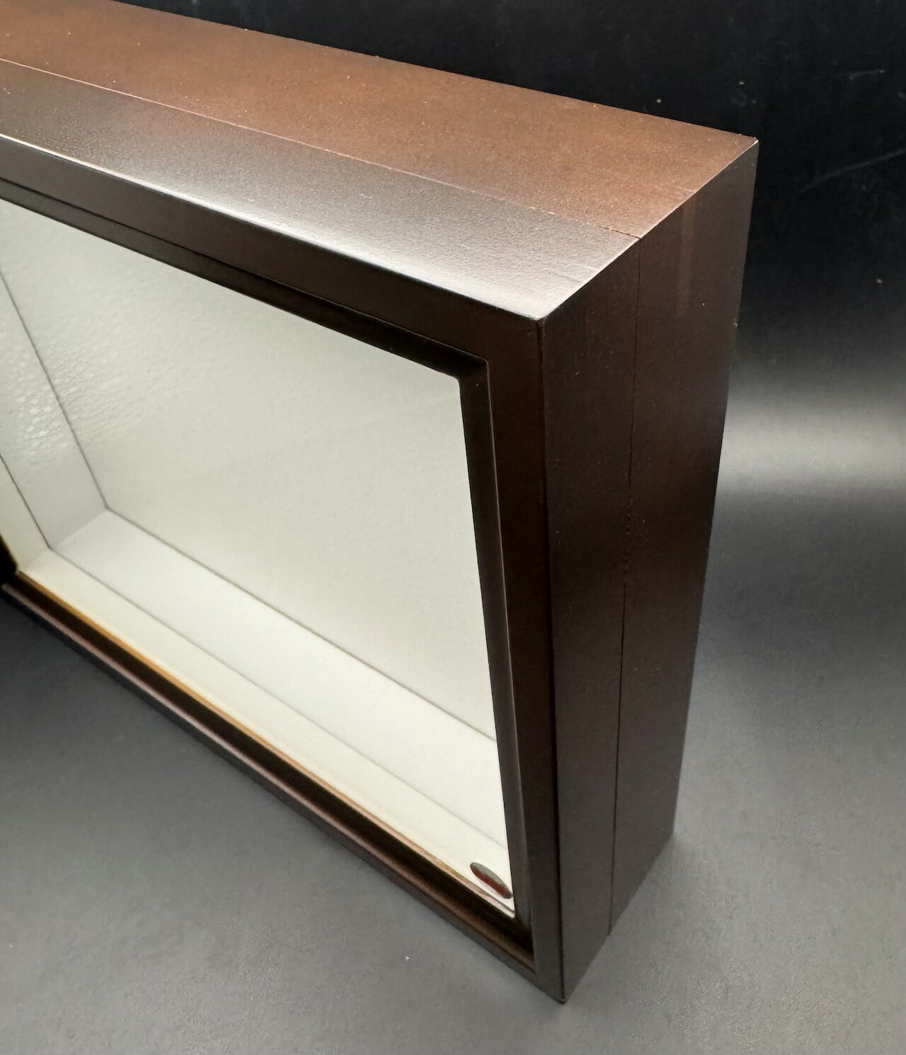 楽天市場】バードウィング製 ドイツ型標本箱の通販