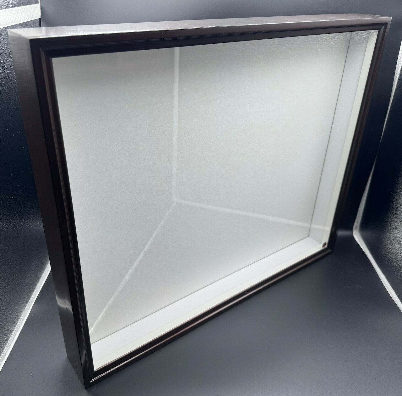 楽天市場】バードウィング製 ドイツ型標本箱の通販