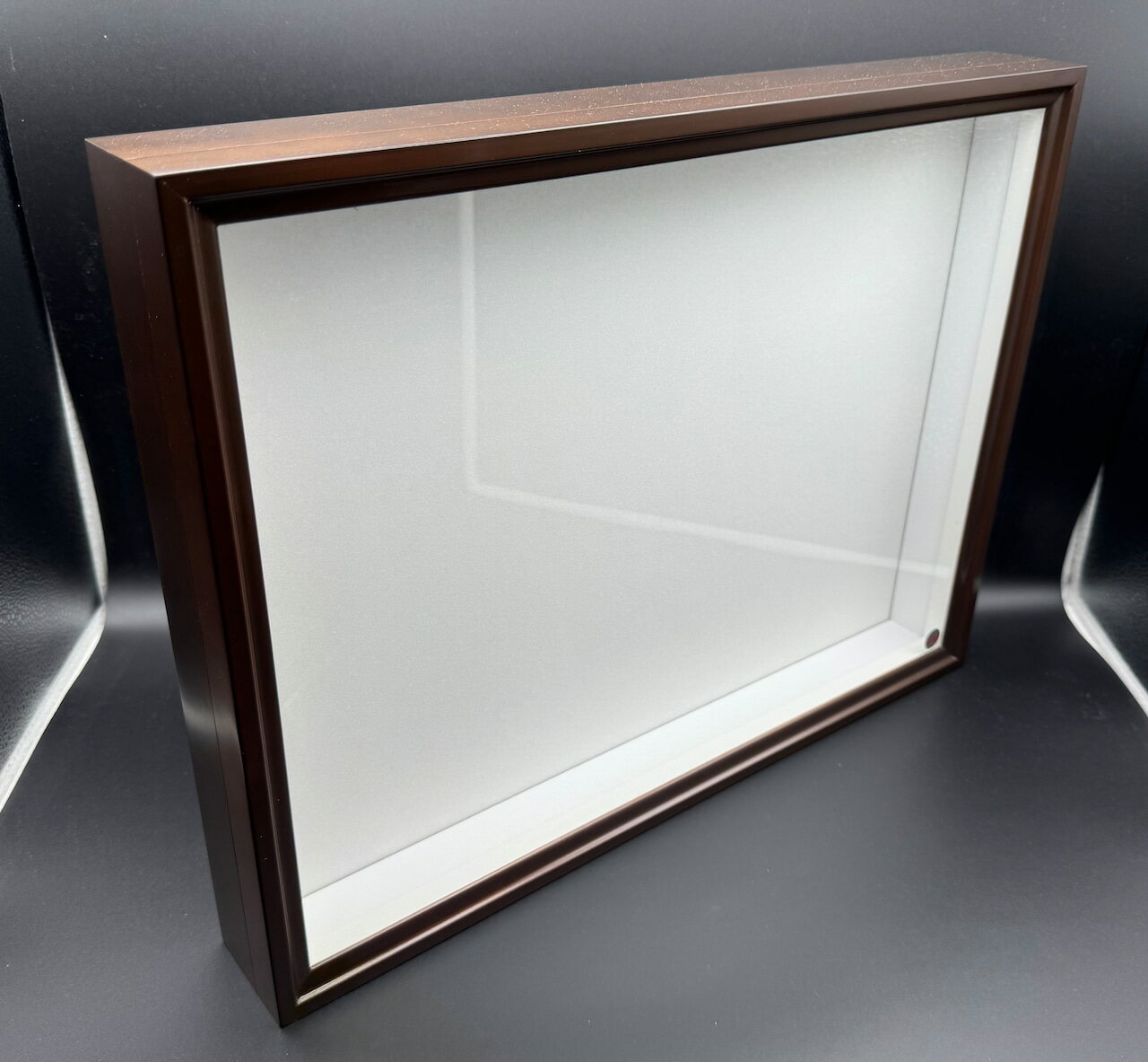 楽天市場】標本箱 バードウィングの通販