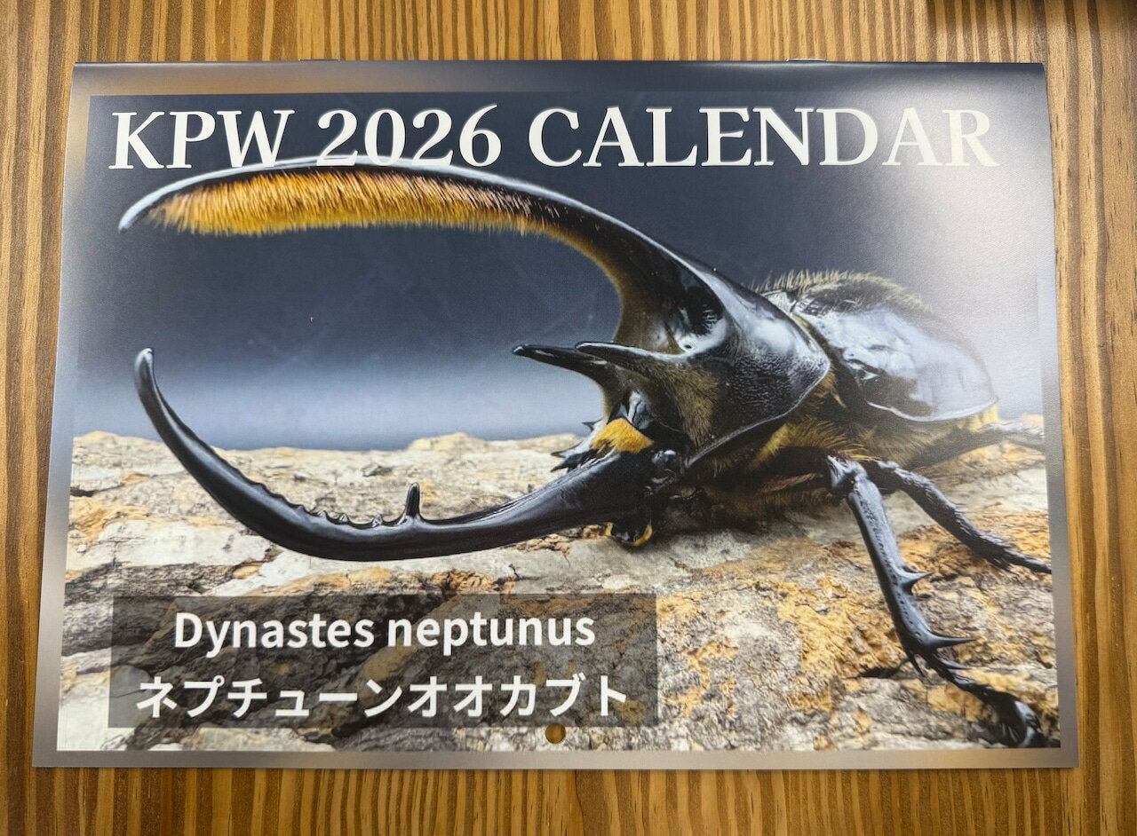 ������̵���� KPW���ꥸ�ʥ륫������2026 KPW ���塞�� ���֥ȥॷ 2026ǯ�������� ����Ź��������� ���ջ����Բ� ��ûȯ����û��