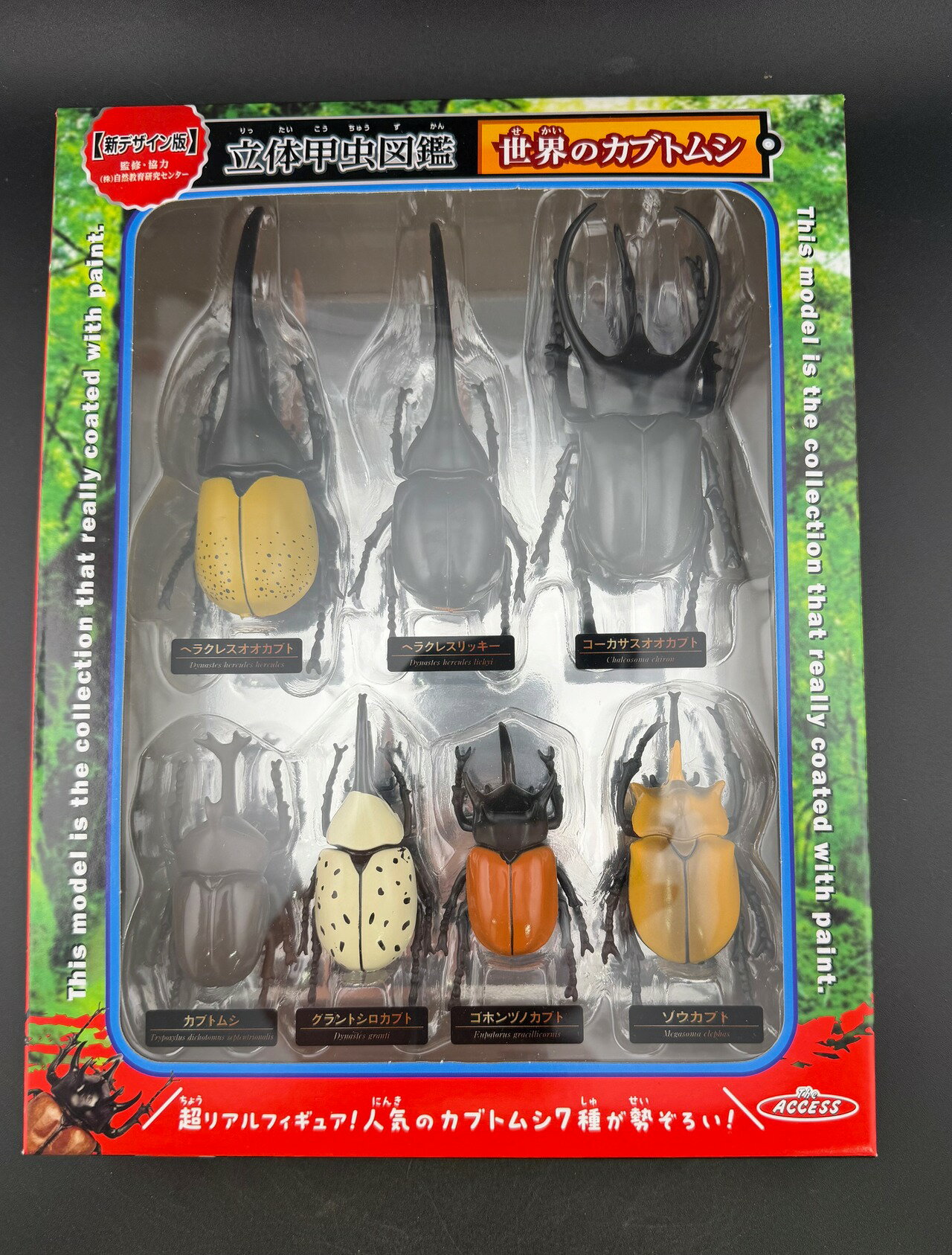Rakuten - 【送料無料】 立体甲虫図鑑 世界のカブトムシ KPW クワガタ カブトムシ