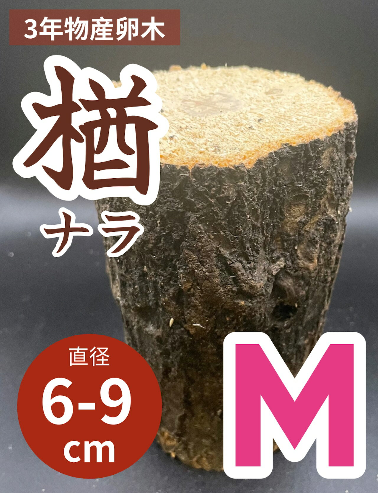 【送料無料】 産卵木 ナラ材 Mサイズ ホダ木 フタマタクワガタやコクワガタにもおすすめ！3年物で良質！ KPW クワガタ カブトムシ