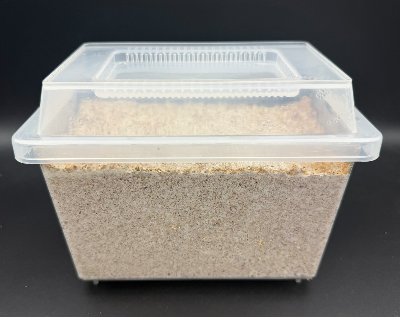 Rakuten - 【送料無料】 ラク産みBOX（産卵菌床ケース） 昆虫 飼育 おすすめ クワガタ カブトムシ KPW