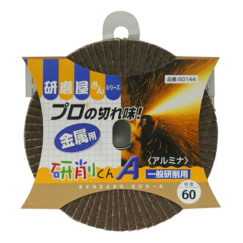 イチグチ BS 研磨屋サンシリーズ研削クンA 100X15-60 【4951989601442】