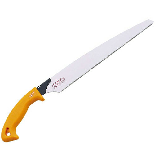 Z �ѥ��ץ���300 8031 ��4963041080317��