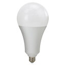 SK11 LED交換球 32W LDA32D-G-SK 【4977292405720】