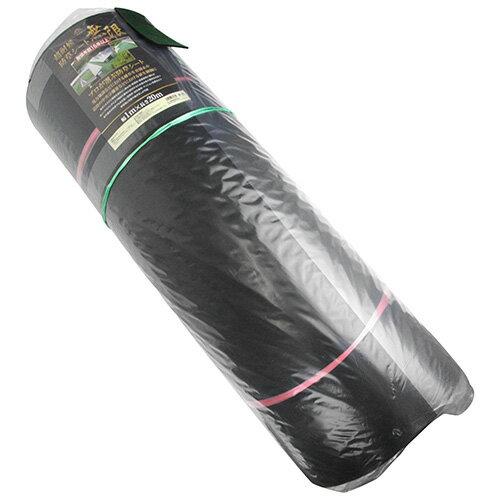 ���եƥ�-3 Ķ�Ѹ����𥷡��� ̵�� 1MX20M ��4977292664332��