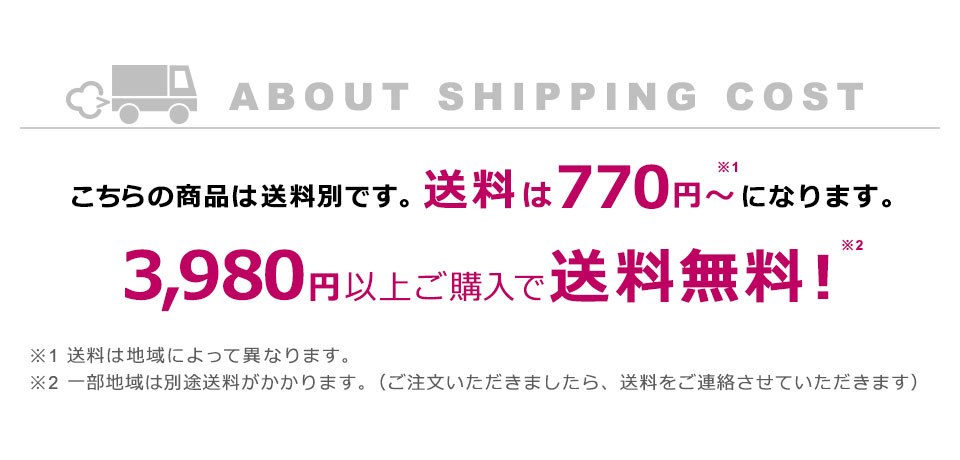 飛び衛門 ゴルフボール 飛衛門 12個入り メッシュバッグ TBE Tobiemon スタンダー...