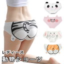 【メール便送料無料】 ショーツ レディース かわいい 下着 動物 アニマル プリント パンツ インナー 可愛い アンダーウェア 見せパン 動物パンティー ブタ ...