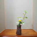 山葡萄籠 山ぶどう 置花入 花籠 花器 0309 / 茶道 華道 茶道具 華道具 / インテリア 日本製 /【中古】 japanese bamboo basket Bamboo cage flower Basket
