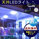 【10%OFFクーポン】LEDライト ライト 大光量 コレクションケース用 コレクションケース LED 追加オプション 天井LEDライト 天井 小型 送料無料 フィギュア