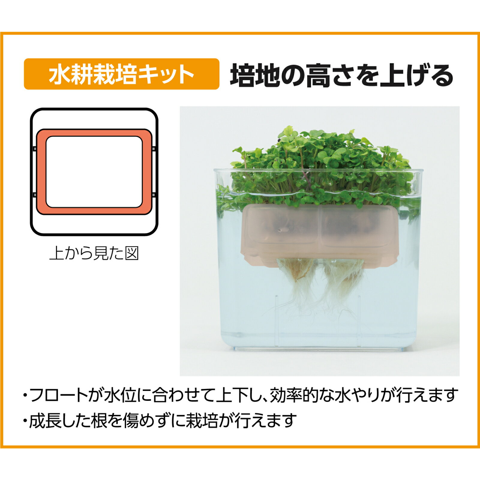 水耕栽培ユニットバジル　 102985（029852）その他教材 アーテック+ 4548030029852