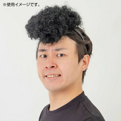 カンタン変身 スーパーリーゼント 6312 つっぱりかつら　ウィッグ　ツッパリ　コスプレ + 2