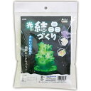 光る！結晶作り 055834（558349）理科 科学 学習 実験 研究 宿題 課題 道具 小物 アーテック