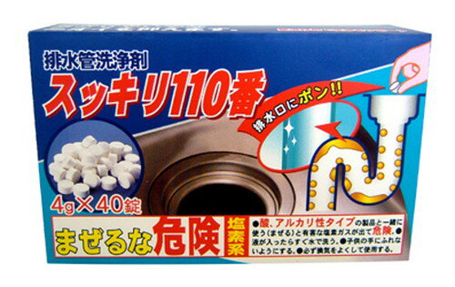 排水管洗浄剤 スッキリ110番 h1093（137898） +