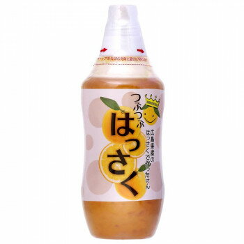 【メーカー直送】 北川村ゆず王国 つぶつぶはっさく 480g 12個セット 22179