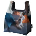 ROOTOTE ルートート パッカブルエコバッグ ルーショッパー ミッドリフティフォトB Called 675604(4)