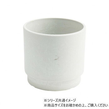 SKステップ 15.5xH15 ミルキー・3d00036ML